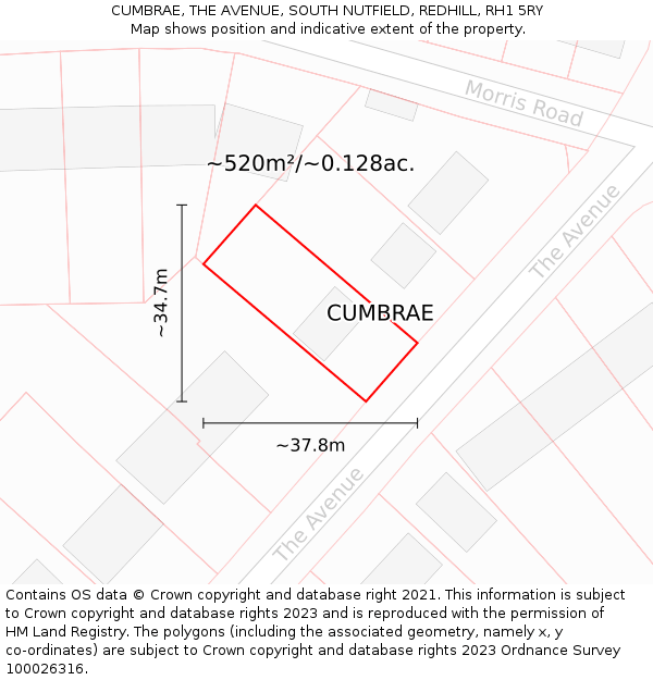 CUMBRAE, THE AVENUE, SOUTH NUTFIELD, REDHILL, RH1 5RY: Plot and title map