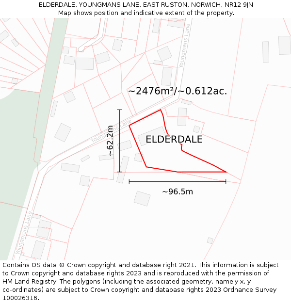 ELDERDALE, YOUNGMANS LANE, EAST RUSTON, NORWICH, NR12 9JN: Plot and title map