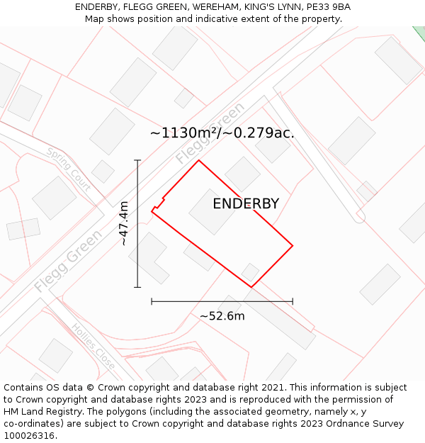 ENDERBY, FLEGG GREEN, WEREHAM, KING'S LYNN, PE33 9BA: Plot and title map
