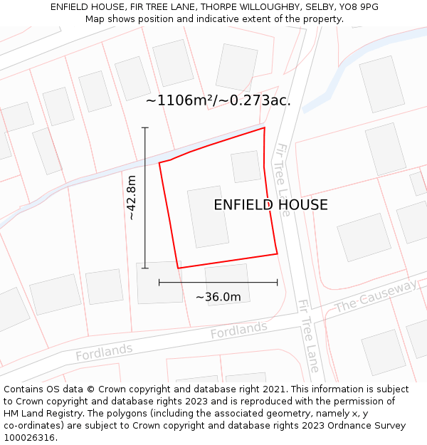 ENFIELD HOUSE, FIR TREE LANE, THORPE WILLOUGHBY, SELBY, YO8 9PG: Plot and title map