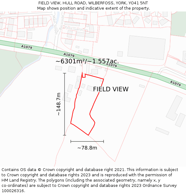 FIELD VIEW, HULL ROAD, WILBERFOSS, YORK, YO41 5NT: Plot and title map