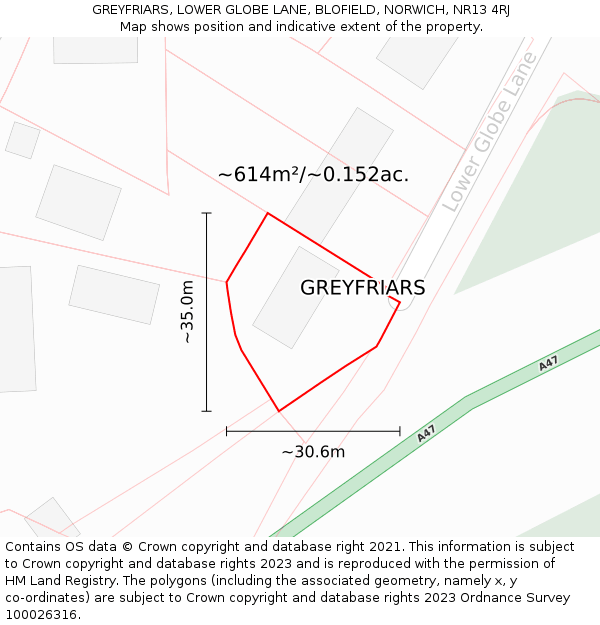 GREYFRIARS, LOWER GLOBE LANE, BLOFIELD, NORWICH, NR13 4RJ: Plot and title map
