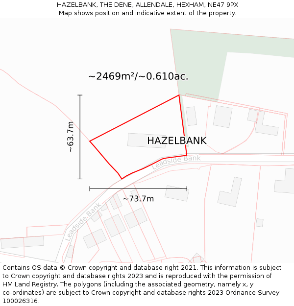 HAZELBANK, THE DENE, ALLENDALE, HEXHAM, NE47 9PX: Plot and title map