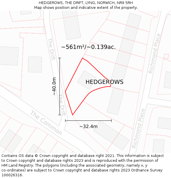 HEDGEROWS, THE DRIFT, LYNG, NORWICH, NR9 5RH: Plot and title map