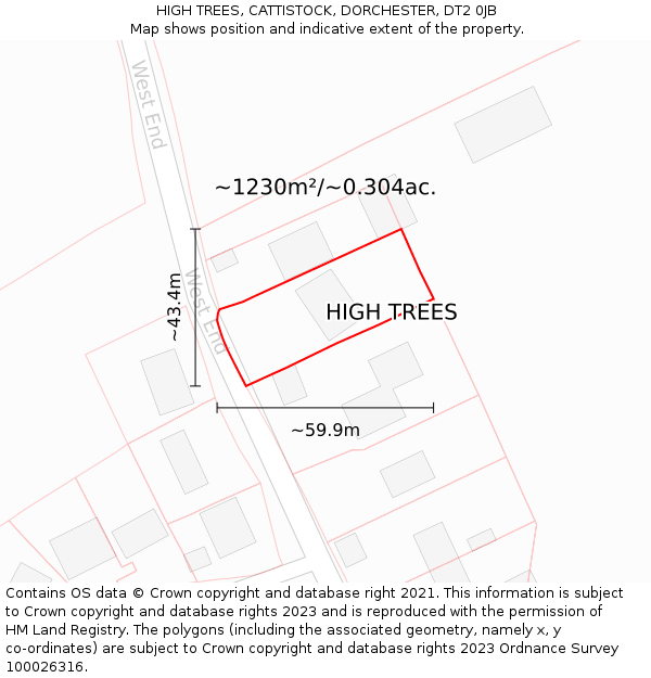 HIGH TREES, CATTISTOCK, DORCHESTER, DT2 0JB: Plot and title map
