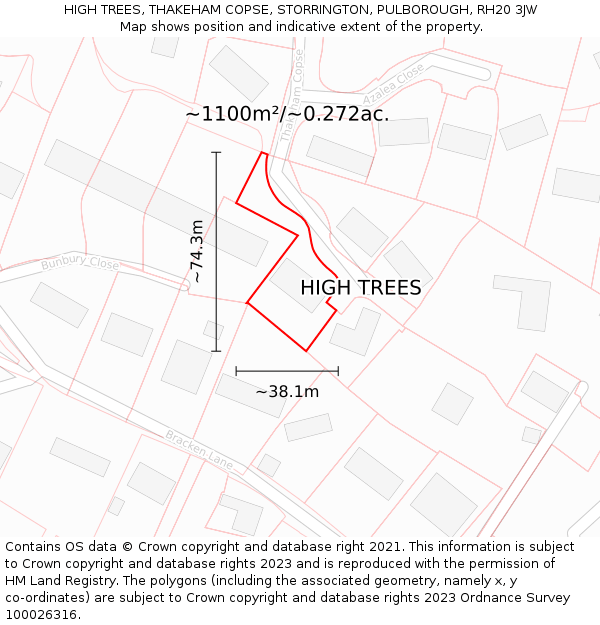 HIGH TREES, THAKEHAM COPSE, STORRINGTON, PULBOROUGH, RH20 3JW: Plot and title map