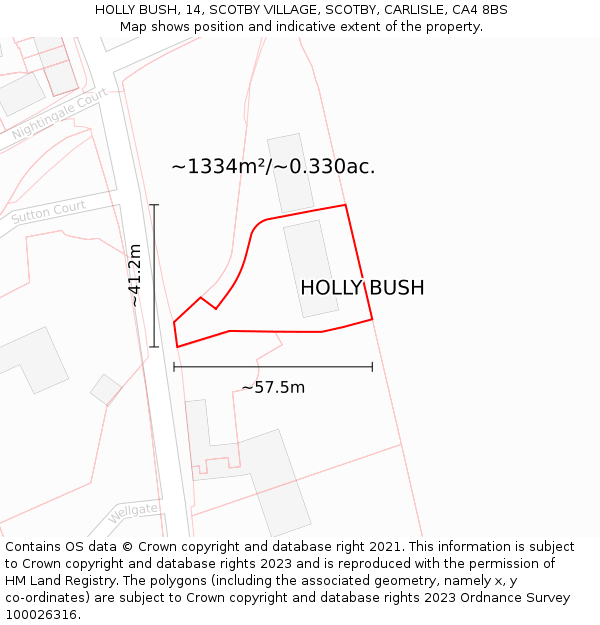 HOLLY BUSH, 14, SCOTBY VILLAGE, SCOTBY, CARLISLE, CA4 8BS: Plot and title map