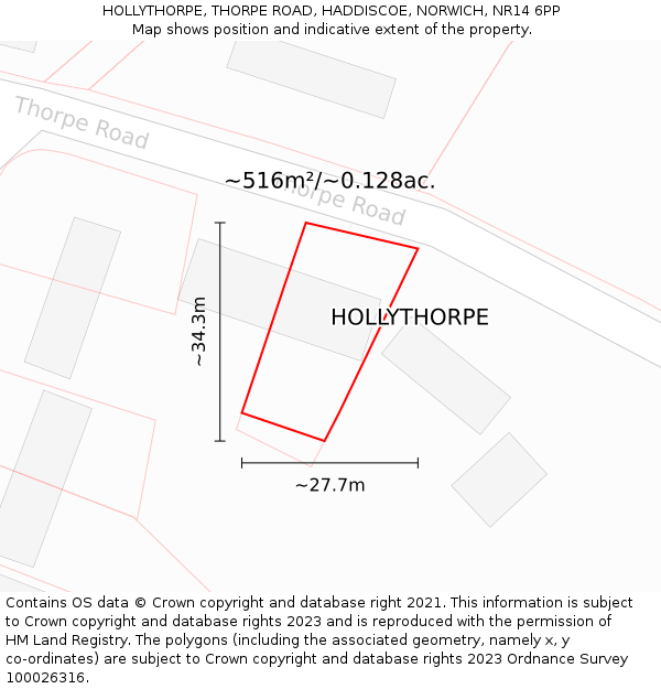 HOLLYTHORPE, THORPE ROAD, HADDISCOE, NORWICH, NR14 6PP: Plot and title map