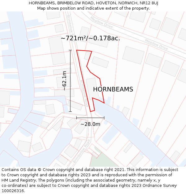HORNBEAMS, BRIMBELOW ROAD, HOVETON, NORWICH, NR12 8UJ: Plot and title map