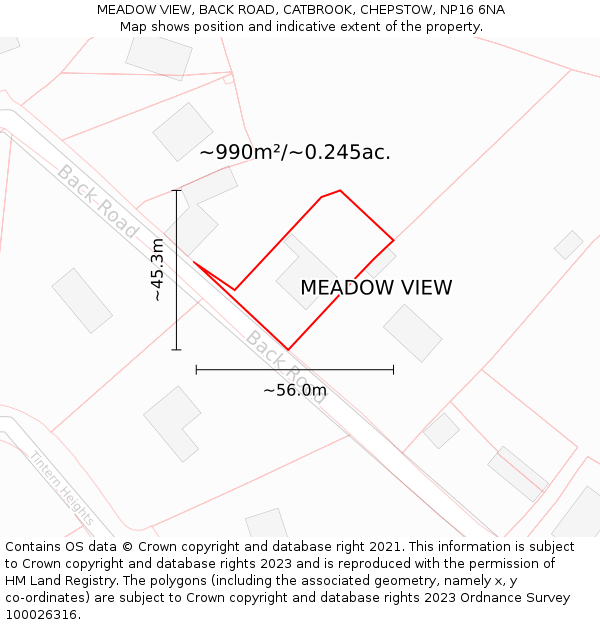MEADOW VIEW, BACK ROAD, CATBROOK, CHEPSTOW, NP16 6NA: Plot and title map