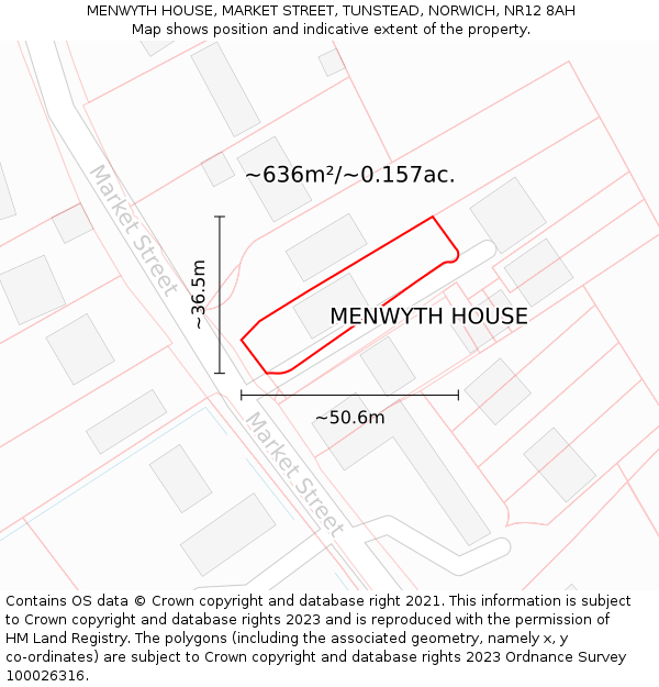 MENWYTH HOUSE, MARKET STREET, TUNSTEAD, NORWICH, NR12 8AH: Plot and title map