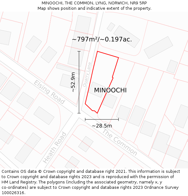 MINOOCHI, THE COMMON, LYNG, NORWICH, NR9 5RP: Plot and title map