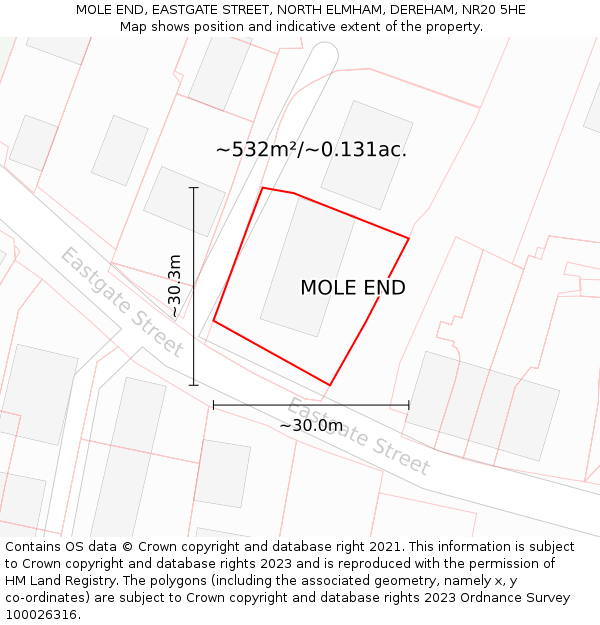 MOLE END, EASTGATE STREET, NORTH ELMHAM, DEREHAM, NR20 5HE: Plot and title map