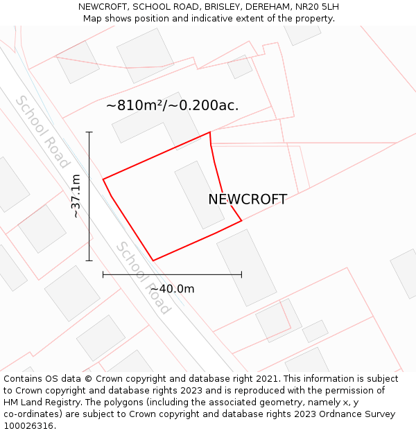 NEWCROFT, SCHOOL ROAD, BRISLEY, DEREHAM, NR20 5LH: Plot and title map