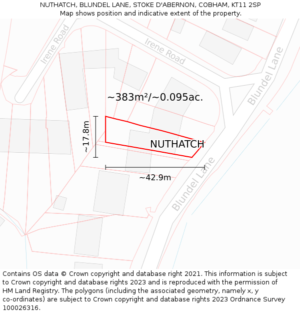 NUTHATCH, BLUNDEL LANE, STOKE D'ABERNON, COBHAM, KT11 2SP: Plot and title map