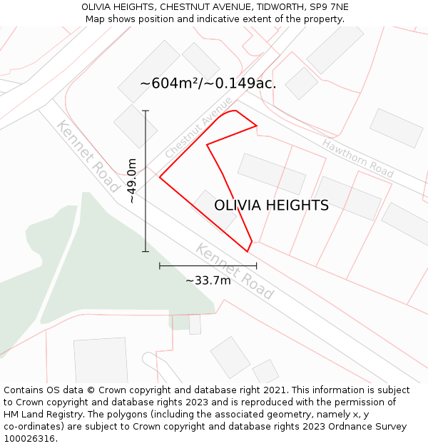 OLIVIA HEIGHTS, CHESTNUT AVENUE, TIDWORTH, SP9 7NE: Plot and title map
