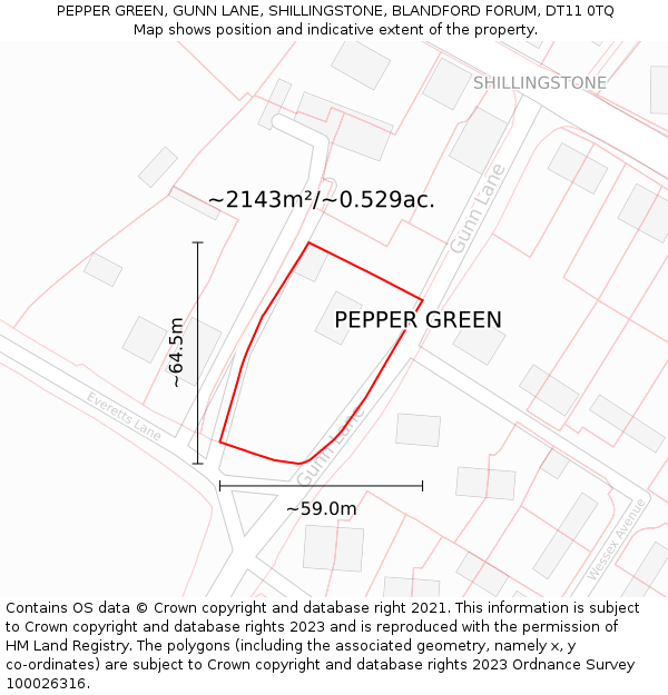 PEPPER GREEN, GUNN LANE, SHILLINGSTONE, BLANDFORD FORUM, DT11 0TQ: Plot and title map