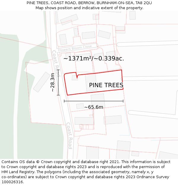 PINE TREES, COAST ROAD, BERROW, BURNHAM-ON-SEA, TA8 2QU: Plot and title map