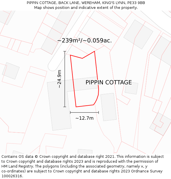 PIPPIN COTTAGE, BACK LANE, WEREHAM, KING'S LYNN, PE33 9BB: Plot and title map
