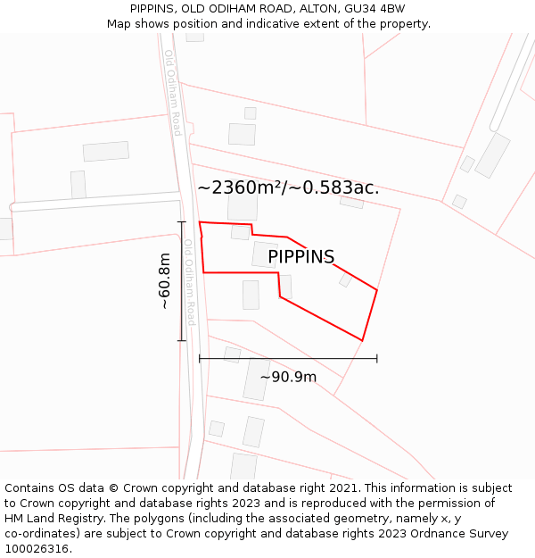 PIPPINS, OLD ODIHAM ROAD, ALTON, GU34 4BW: Plot and title map
