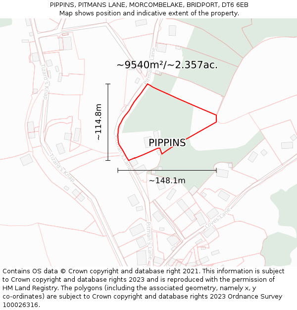 PIPPINS, PITMANS LANE, MORCOMBELAKE, BRIDPORT, DT6 6EB: Plot and title map