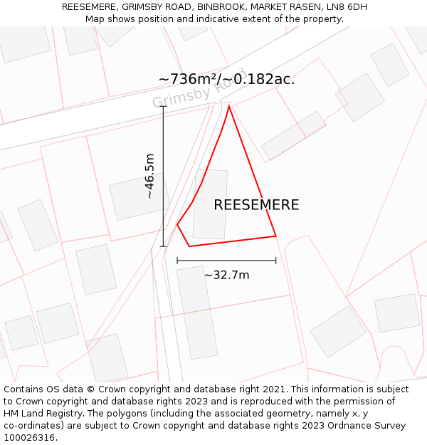 REESEMERE, GRIMSBY ROAD, BINBROOK, MARKET RASEN, LN8 6DH: Plot and title map
