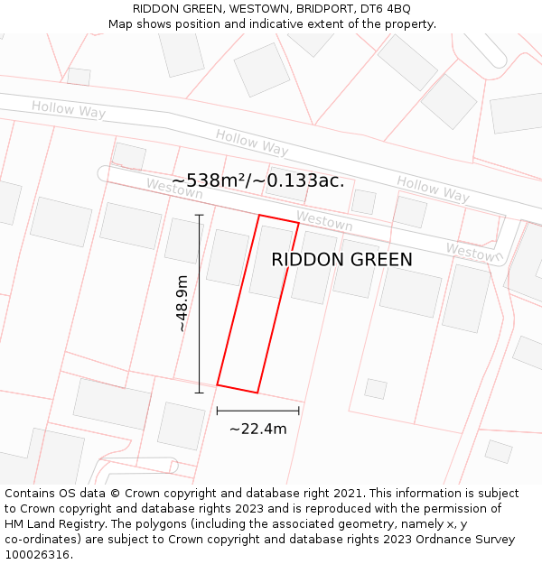 RIDDON GREEN, WESTOWN, BRIDPORT, DT6 4BQ: Plot and title map