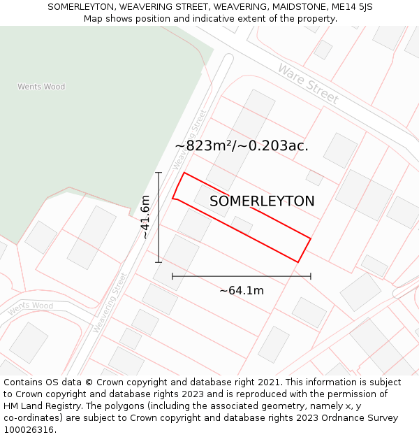 SOMERLEYTON, WEAVERING STREET, WEAVERING, MAIDSTONE, ME14 5JS: Plot and title map