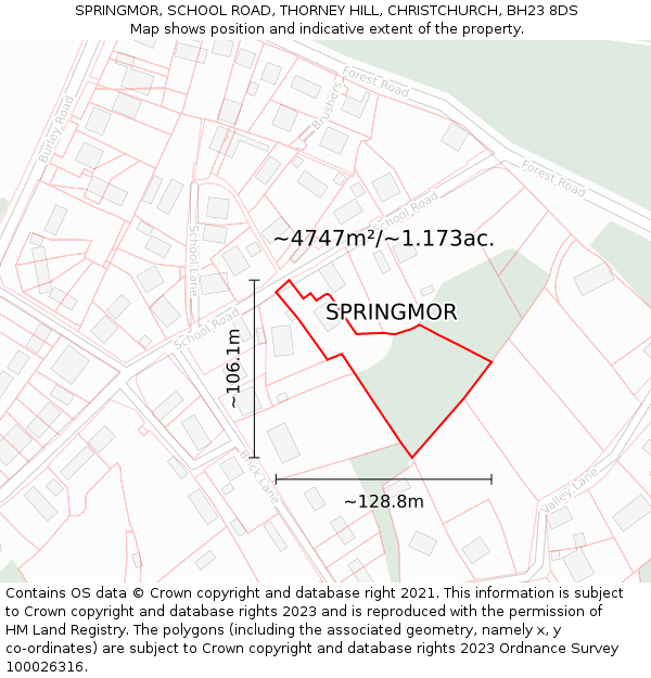 SPRINGMOR, SCHOOL ROAD, THORNEY HILL, CHRISTCHURCH, BH23 8DS: Plot and title map