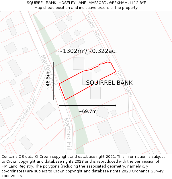 SQUIRREL BANK, HOSELEY LANE, MARFORD, WREXHAM, LL12 8YE: Plot and title map