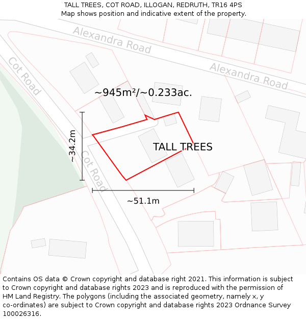 TALL TREES, COT ROAD, ILLOGAN, REDRUTH, TR16 4PS: Plot and title map
