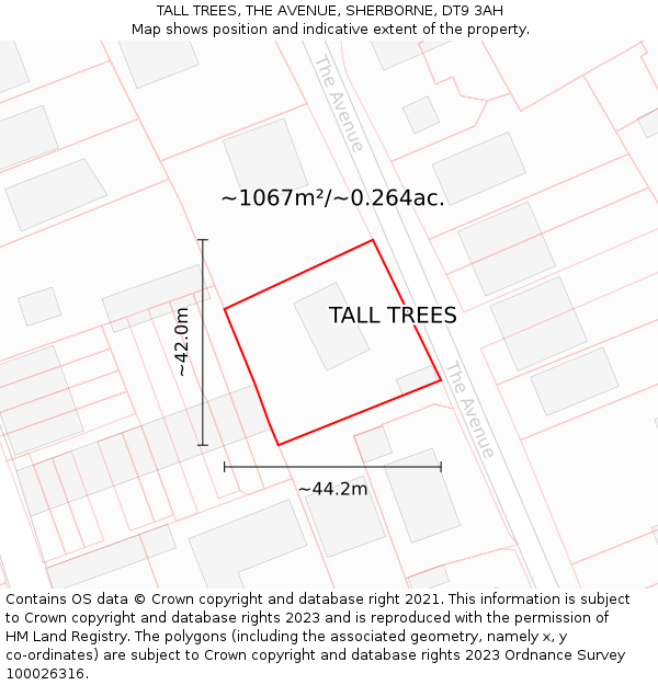 TALL TREES, THE AVENUE, SHERBORNE, DT9 3AH: Plot and title map