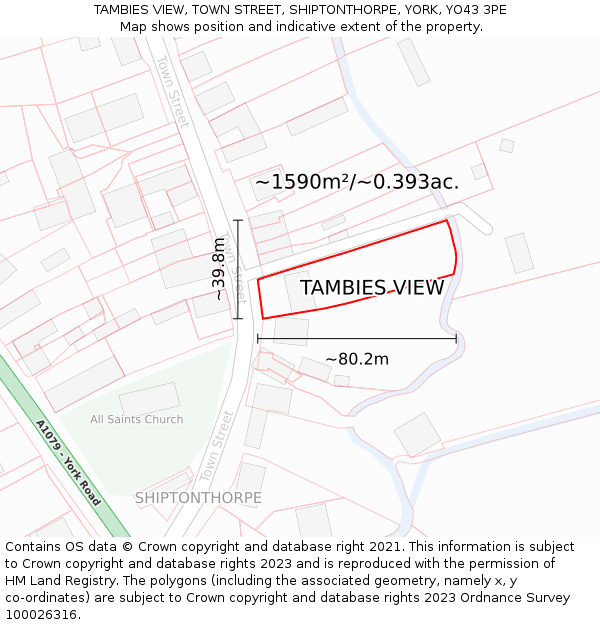 TAMBIES VIEW, TOWN STREET, SHIPTONTHORPE, YORK, YO43 3PE: Plot and title map