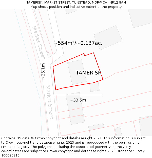 TAMERISK, MARKET STREET, TUNSTEAD, NORWICH, NR12 8AH: Plot and title map