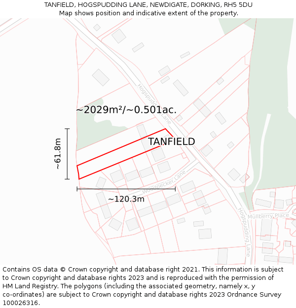 TANFIELD, HOGSPUDDING LANE, NEWDIGATE, DORKING, RH5 5DU: Plot and title map