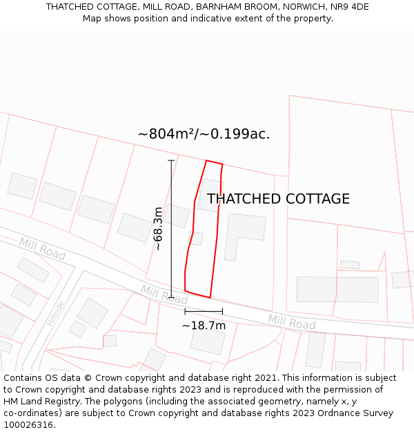 THATCHED COTTAGE, MILL ROAD, BARNHAM BROOM, NORWICH, NR9 4DE: Plot and title map