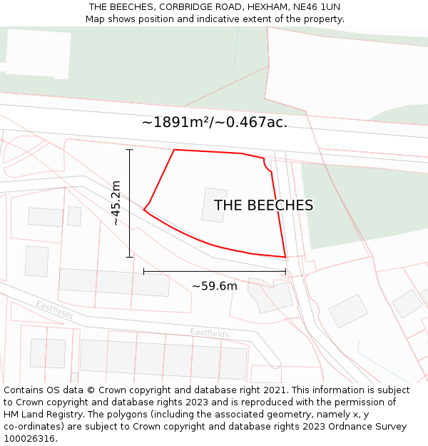 THE BEECHES, CORBRIDGE ROAD, HEXHAM, NE46 1UN: Plot and title map