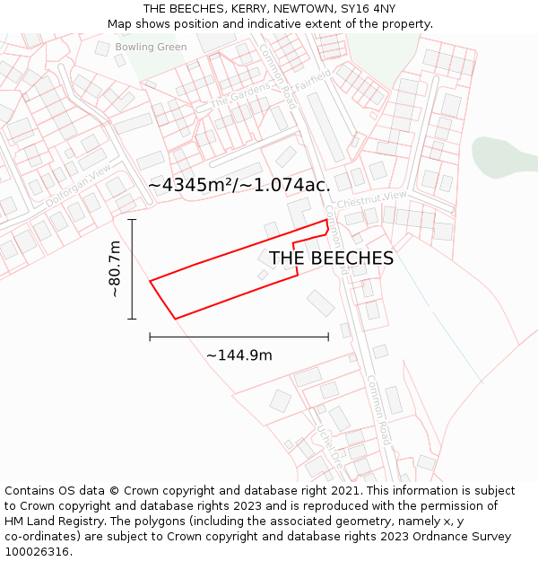 THE BEECHES, KERRY, NEWTOWN, SY16 4NY: Plot and title map