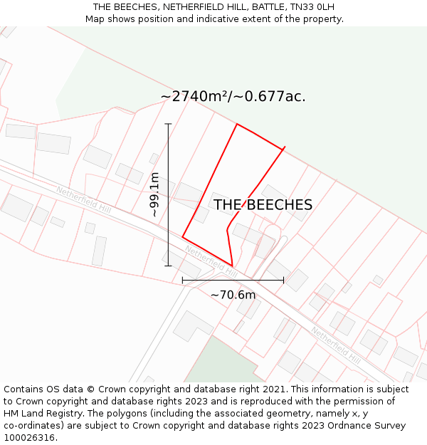 THE BEECHES, NETHERFIELD HILL, BATTLE, TN33 0LH: Plot and title map