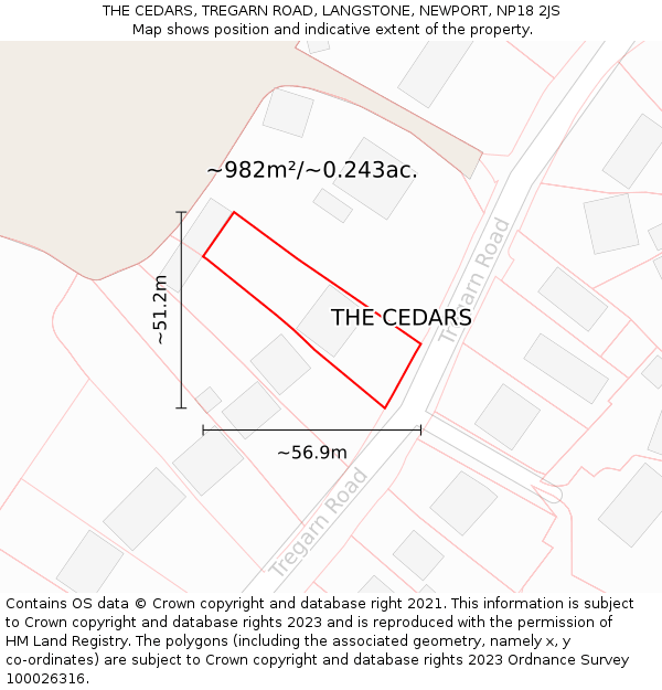 THE CEDARS, TREGARN ROAD, LANGSTONE, NEWPORT, NP18 2JS: Plot and title map