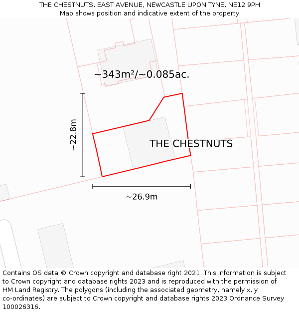 THE CHESTNUTS, EAST AVENUE, NEWCASTLE UPON TYNE, NE12 9PH: Plot and title map