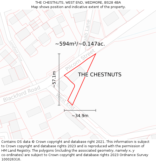 THE CHESTNUTS, WEST END, WEDMORE, BS28 4BA: Plot and title map