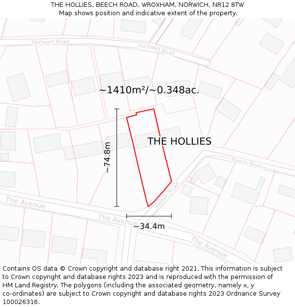 THE HOLLIES, BEECH ROAD, WROXHAM, NORWICH, NR12 8TW: Plot and title map