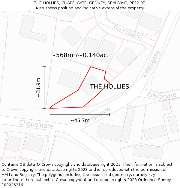 THE HOLLIES, CHAPELGATE, GEDNEY, SPALDING, PE12 0BJ: Plot and title map