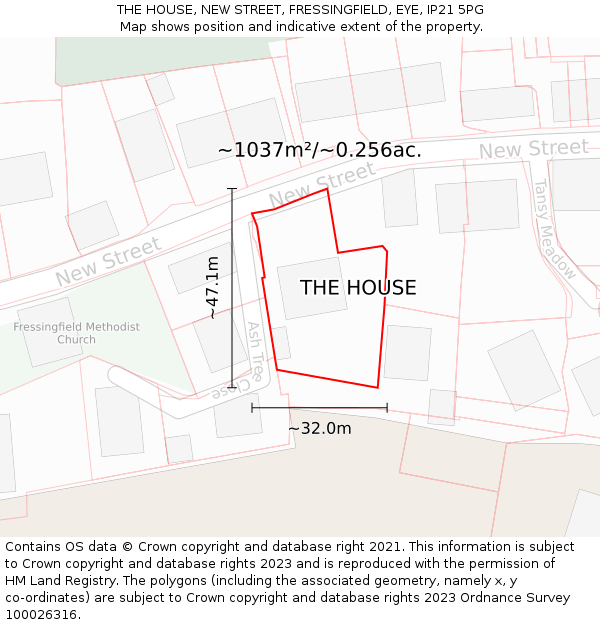 THE HOUSE, NEW STREET, FRESSINGFIELD, EYE, IP21 5PG: Plot and title map