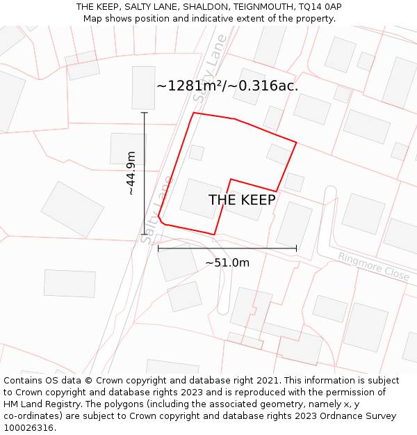 THE KEEP, SALTY LANE, SHALDON, TEIGNMOUTH, TQ14 0AP: Plot and title map