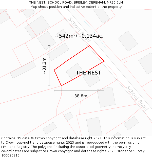 THE NEST, SCHOOL ROAD, BRISLEY, DEREHAM, NR20 5LH: Plot and title map
