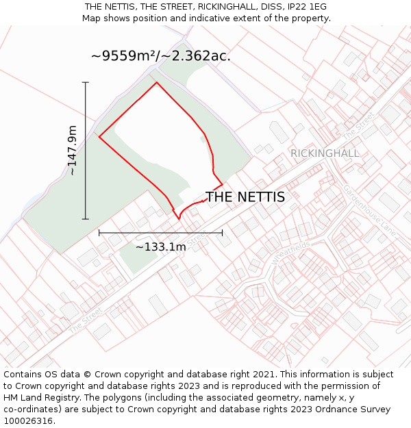THE NETTIS, THE STREET, RICKINGHALL, DISS, IP22 1EG: Plot and title map
