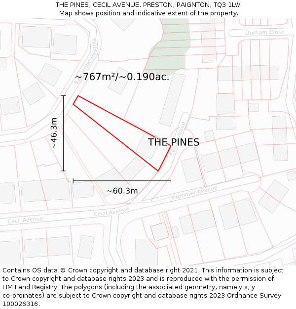 THE PINES, CECIL AVENUE, PRESTON, PAIGNTON, TQ3 1LW: Plot and title map