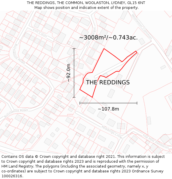 THE REDDINGS, THE COMMON, WOOLASTON, LYDNEY, GL15 6NT: Plot and title map